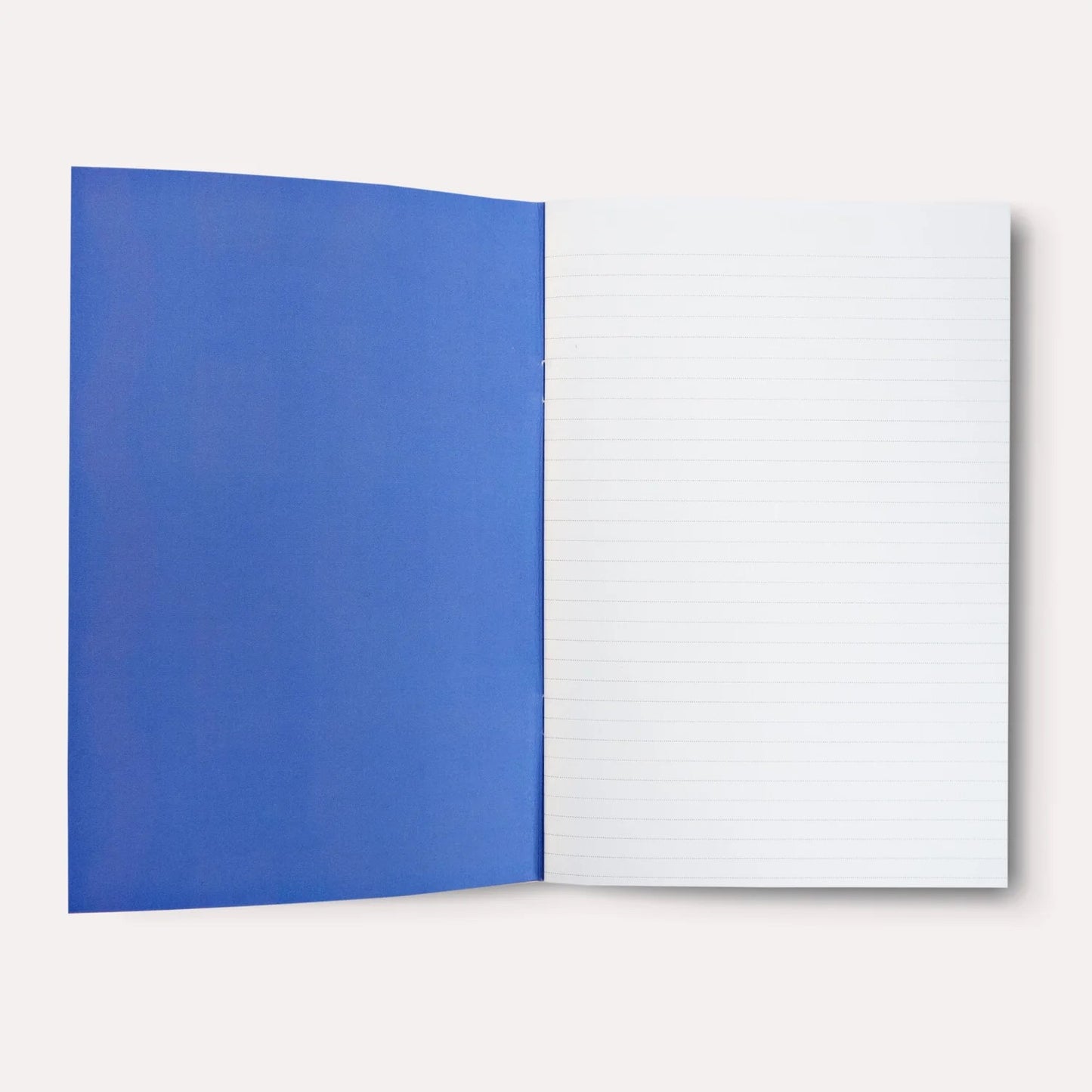 The Completist A5 Slimline Notebook - Casetta